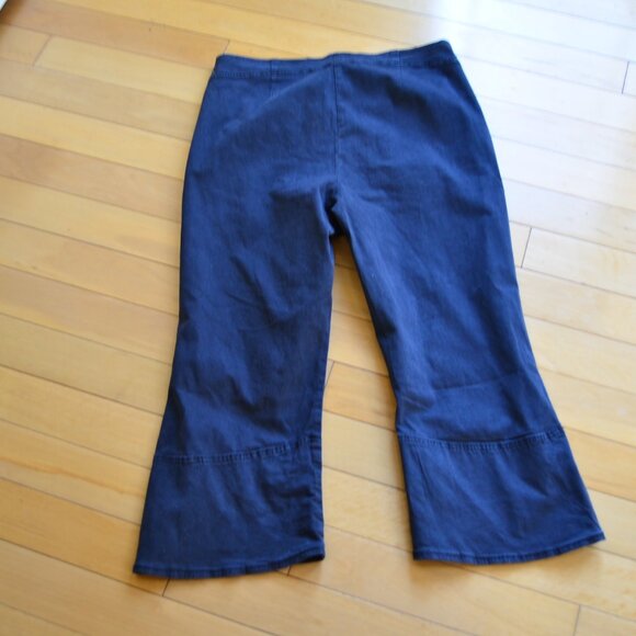 Anthropologie Pilcro Cropped Capri Jeans Size M - Picture 8 of 11